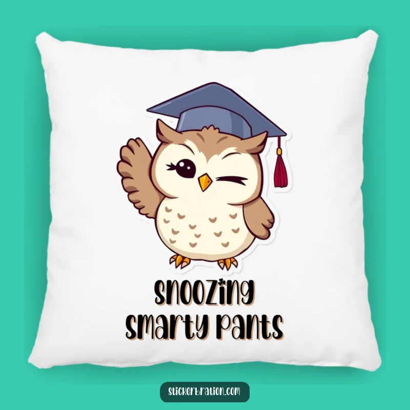 Soft Funny Graduation Owl Pillow: Cuddle Up with Wisdom and Comfort